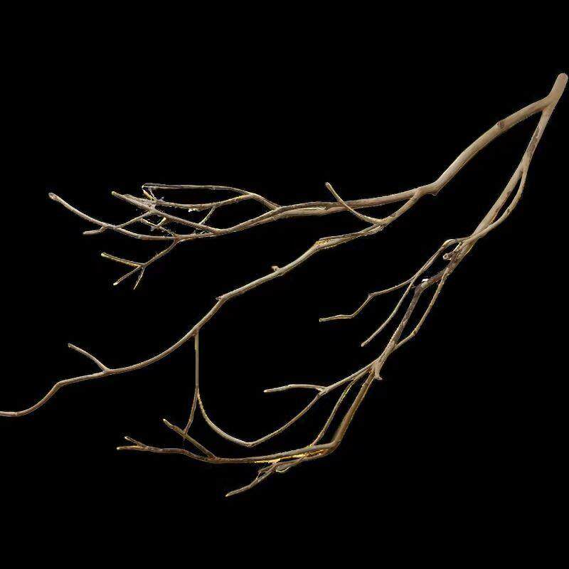 鹿角枝南美溪流树枝原生缸天然沉木造景鱼缸装饰小缸枯枝条黄梨木