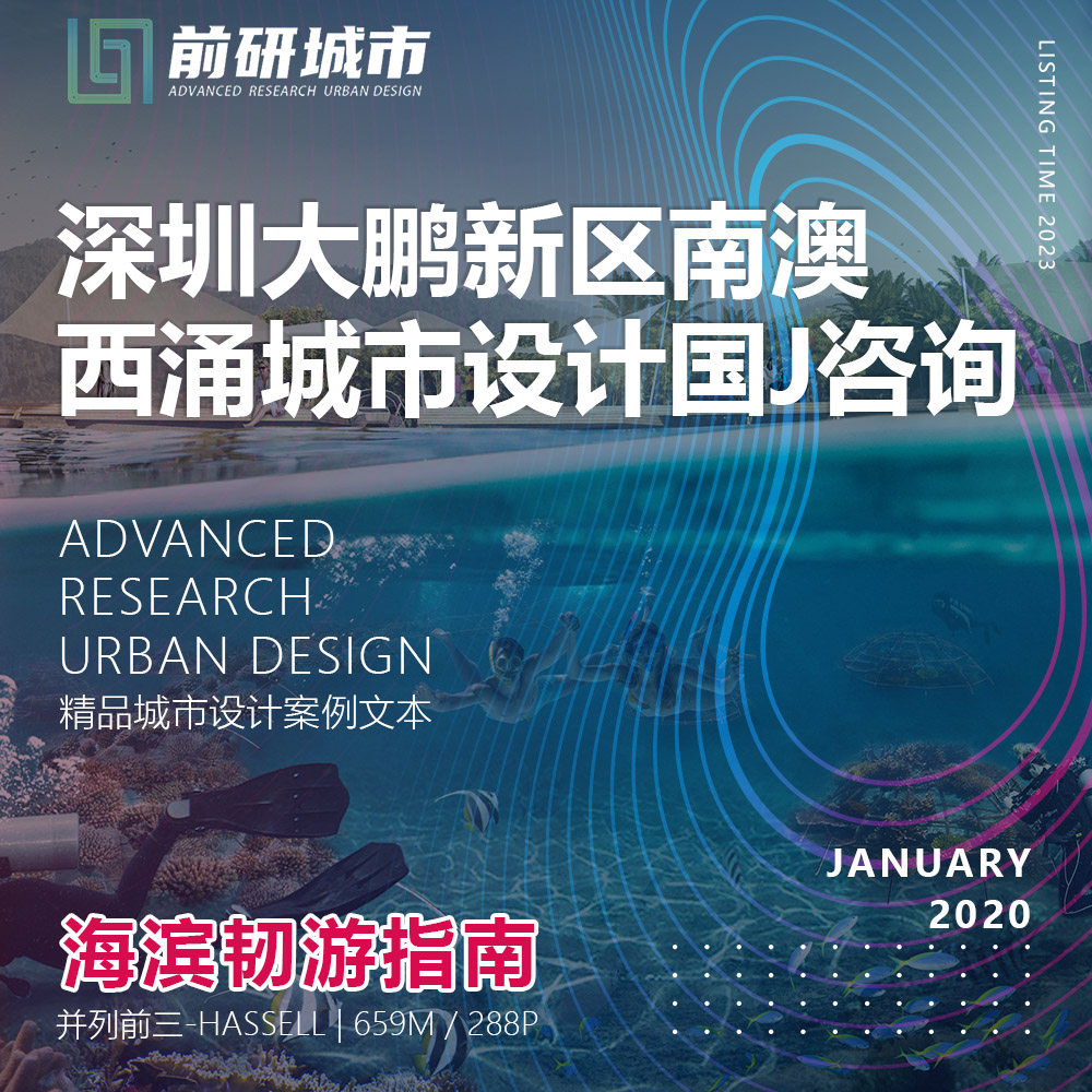 2023新款深圳大鹏新区南澳西涌滨海城市设计咨询规划精品方案文本