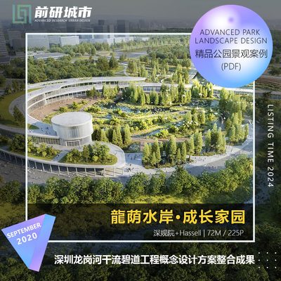 2024新款深圳龙岗河干流碧道工程概念设计整合成果精品文本