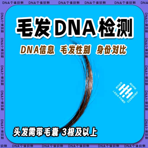 头发DNA鉴定 需带毛囊对比基因DNA 毛发胡须腋毛阴毛出轨检测