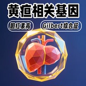 胆红素 黄疸相关基因检测 UGT1A1基因 Gilbert综合征辅助筛查
