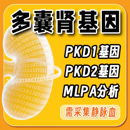 多囊肾基因检测PKD1 PKD2检测 可选MLPA分析