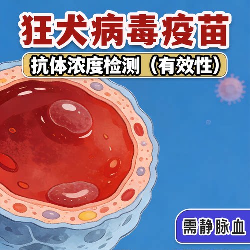 狂犬病疫苗抗体效果检测 评估接种后浓度有效性 病毒中和抗体检查