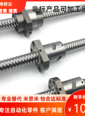 BSSC BSSCK1204-(150~800)-F(15~24)-P(5~8) 滚珠丝杠 替代米思米