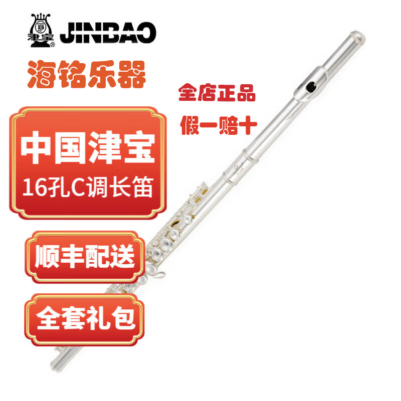 津宝长笛C调长笛乐队演奏
