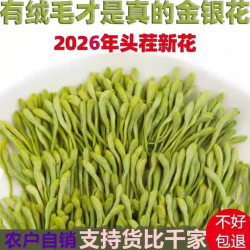 正品金银花特级熬夜散装250g半斤
