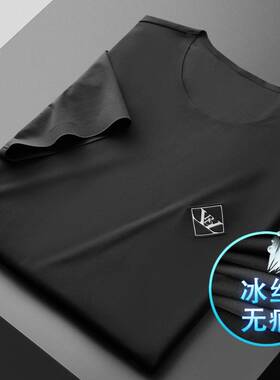 高档品牌舒适感十足运动t恤男夏季冰丝男士短袖速干衣圆领健身休