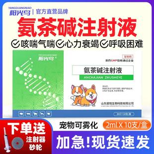 猫咪狗狗窝咳嗽平喘止咳药宠物扩张血管肺心病雾化药氨茶碱注射液