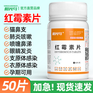 猫咪狗狗宠物感冒咳嗽支原体衣原体肺炎眼睛发炎消炎感染红霉素片