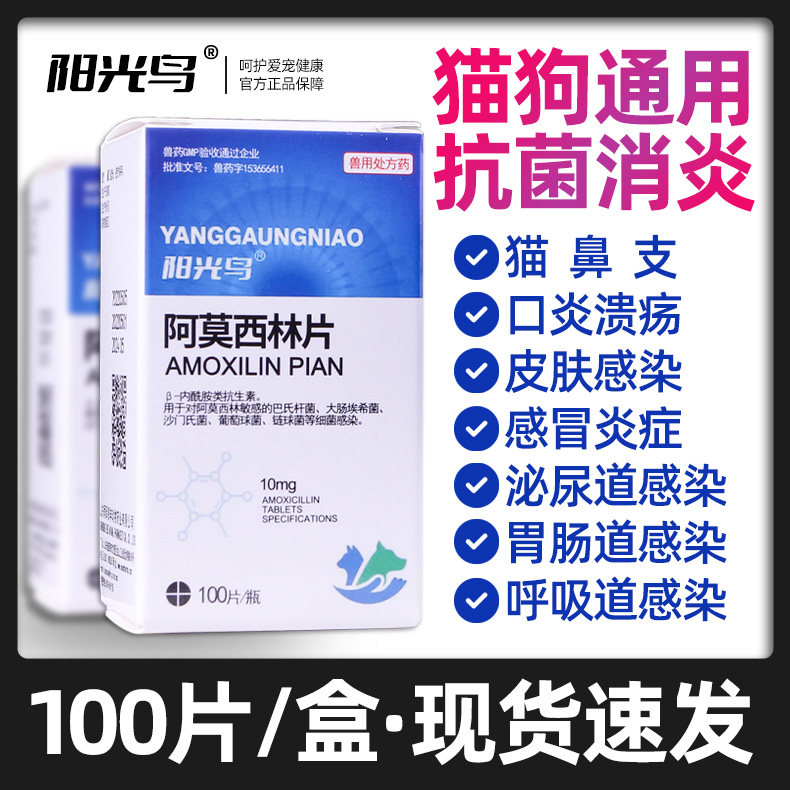 猫咪狗狗消炎药宠物肠炎尿路泌尿感染皮肤炎感冒猫鼻支速消炎诺片,宠物/宠物食品及用品,猫特色药品,淘宝优惠券,粉丝福利购,淘宝优惠卷
