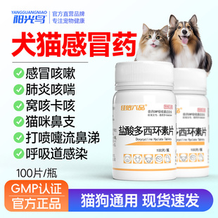 犬猫药盐酸多西环素片狗狗支气管炎宠物咳嗽药猫咪感冒肺炎犬窝咳