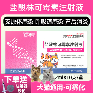 兽用盐酸林可霉素注射液猫咪狗狗感冒咳嗽呼吸道感染雾化产后消炎
