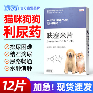 宠物猫咪利尿通狗狗尿频尿血尿闭结石尿道炎泌尿路感染呋塞米片