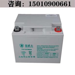 12V38AH免维护UPS直流屏免维护电池 金12V38AH蓄电池PW38