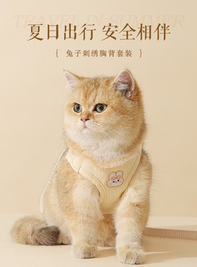 猫咪牵引绳宠物胸背带背心式防挣脱猫绳子遛猫绳溜猫链子外出专用