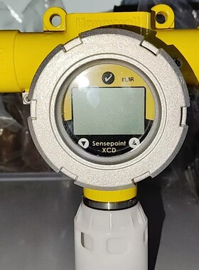 议价 Sensepoint X气体检测仪，