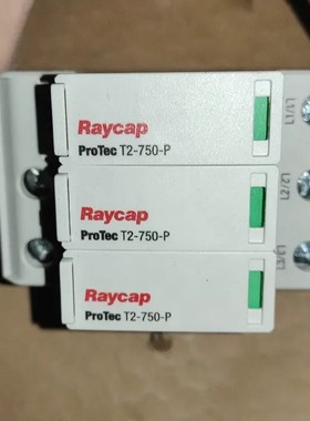 议价Raycap ProTec T2-750-P防雷器