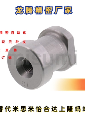 替代型 CSN12 CSN16 CSN20 CSN24 CSN30 CSN36 吊钩 -铸入型螺栓