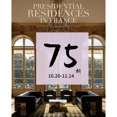 爱丽舍宫及其邻近的马里尼酒店