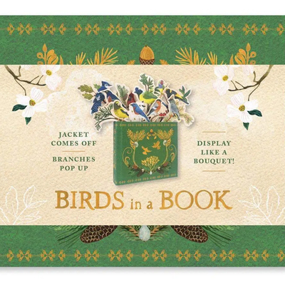 原版现货BirdsinaBook