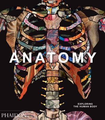 现货解剖学：探索人体Anatomy