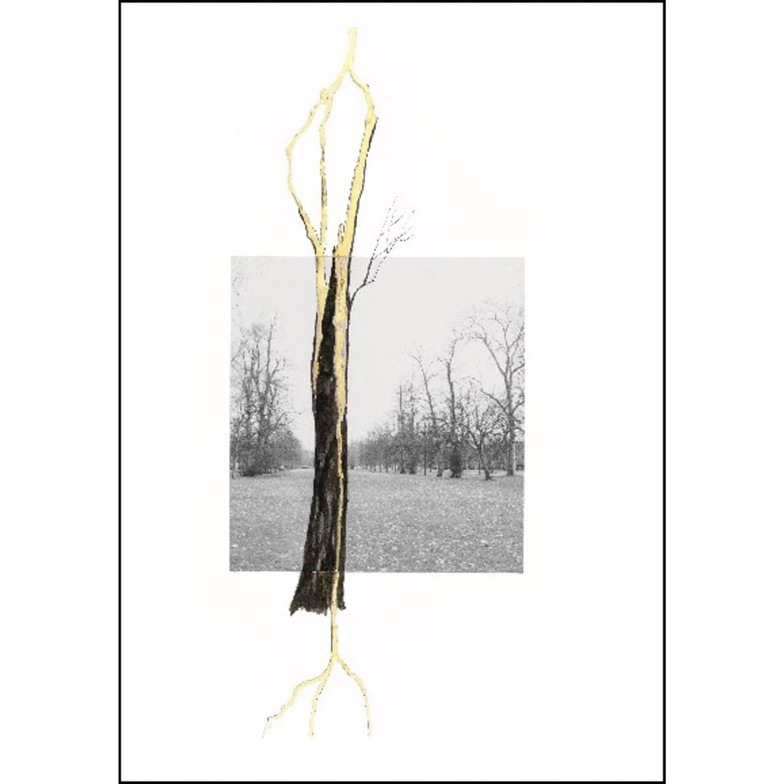 【现货】吉塞佩·佩诺内：根中的思绪 Giuseppe Penone - Thoughts in the Roots | 老佛爷书店