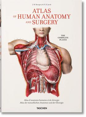 【现货】人体解剖与外科手术图集 Bourgery. Atlas of Human Anatomy 英文进口原版书籍 Taschen出版 老佛爷书店