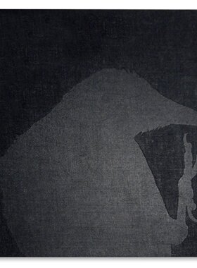 【现货】深濑昌久:鸦 摄影集 The Solitude of Ravens Masahisa