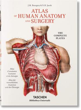 【现货】马克·布尔格里：人体解剖与外科手术图集：解剖图谱 Bourgery. Atlas of Human Anatomy and Surgery｜老佛爷书店