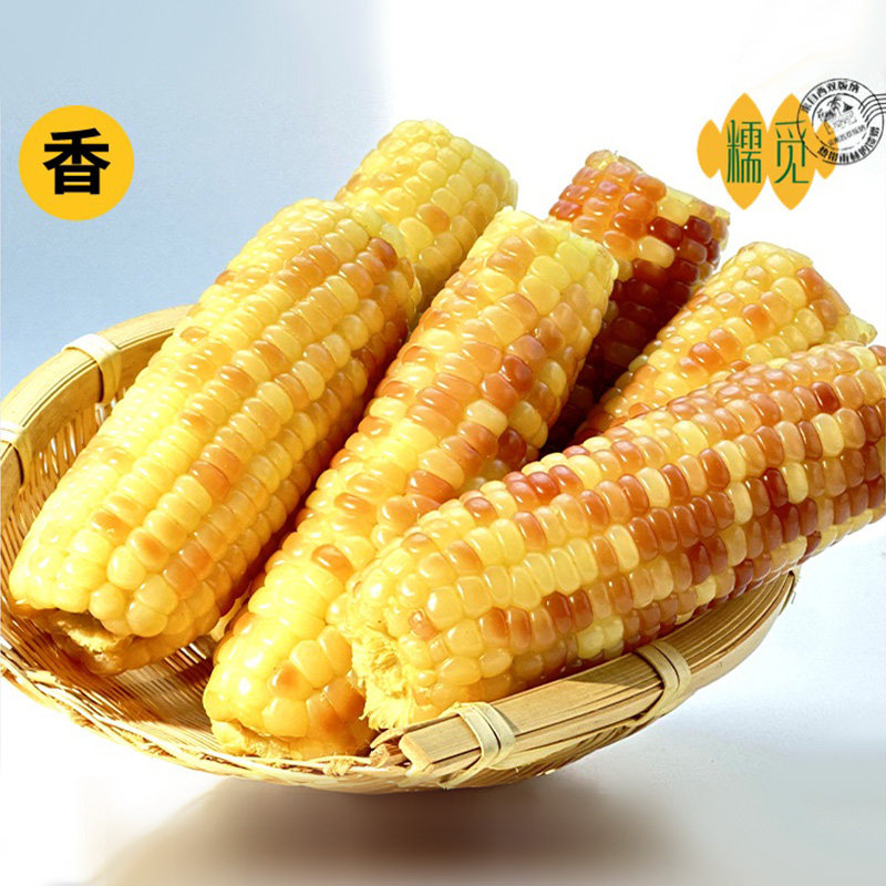 ��ŴС����1.6�������� ������˫������ŴС����4�����ʻ�Ŵ��Ŵ���װ���տ�����ʳ���