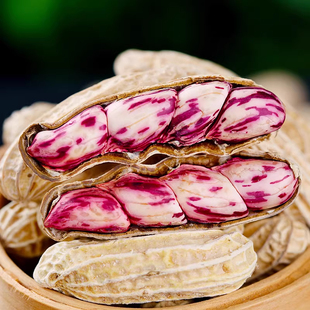 包邮 云南七彩花生带壳生湿花生新鲜应季 农家现挖现发2025新整箱