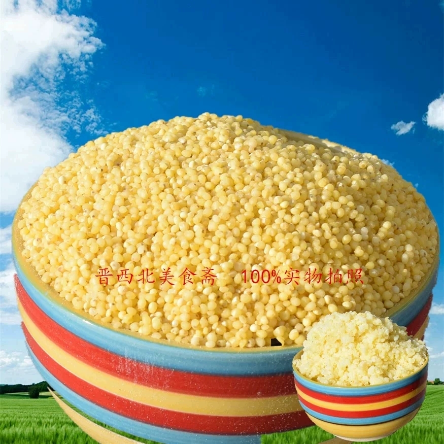 山西糜米稷米硬大黄米精选粢米穄米农家自产酸粥捞饭红糜子米5斤