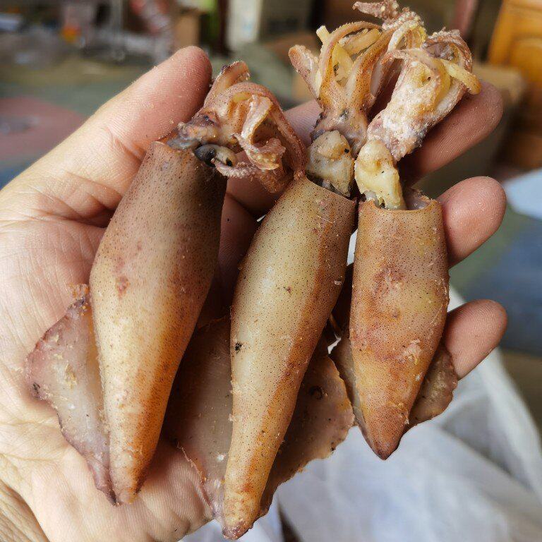 日照特产海兔干子乌500克 大墨鱼仔大号笔管鱼乌子鱿鱼海鲜干tpwa