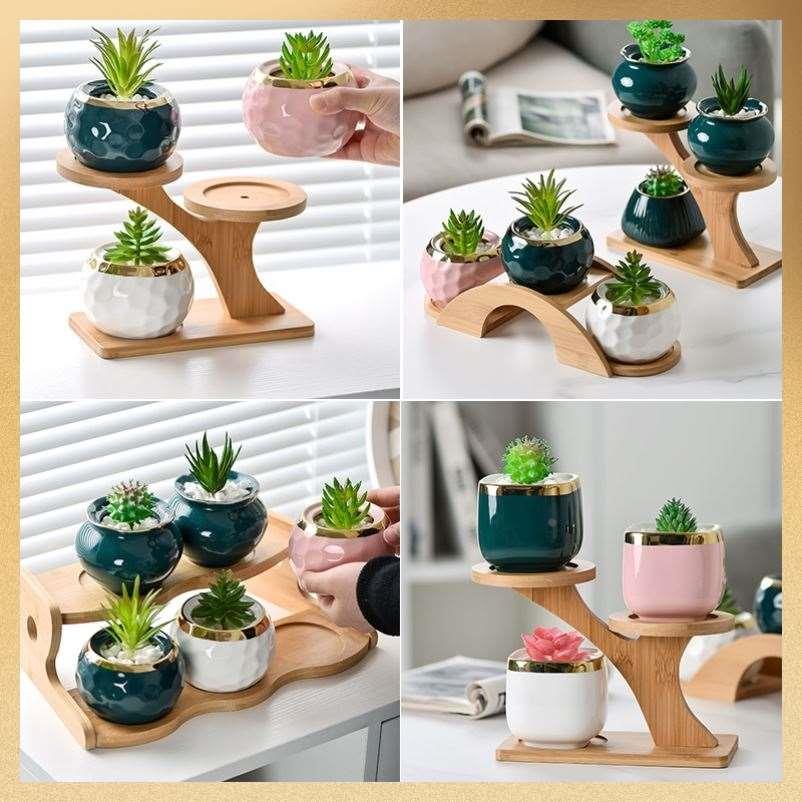 多肉专用摆放台架子室内小型植物展示架桌面多层纯实木小花架装饰