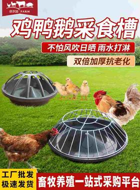 加厚鸡鸭鹅食槽新款喂鸡食槽养鸡料槽打不翻牛筋喂猪食槽自由采食
