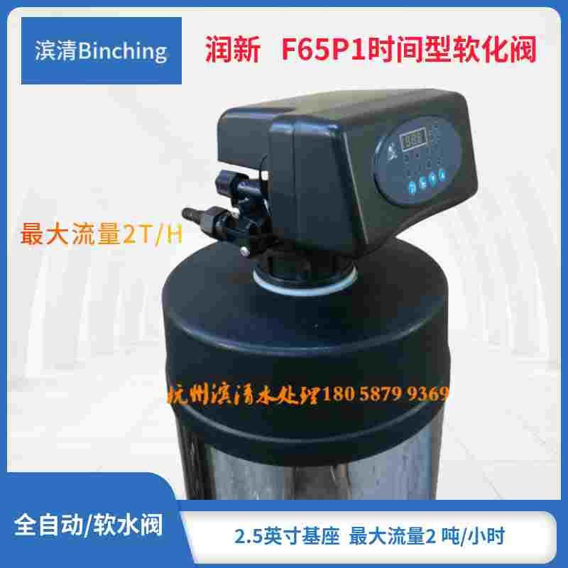 润新 F65P1多路控制阀 时间软化 2吨 6分口 软水机 RO设备控制阀