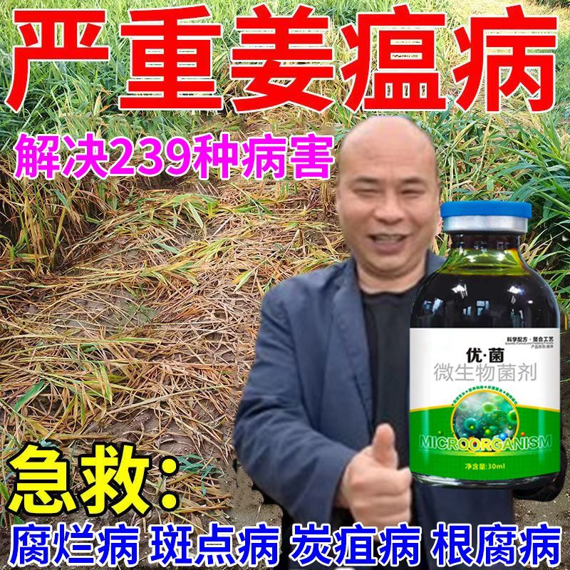 姜瘟病急救消杀菌剂大腐烂