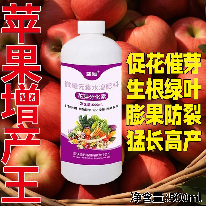 苹果花芽分化素诱导宝树草