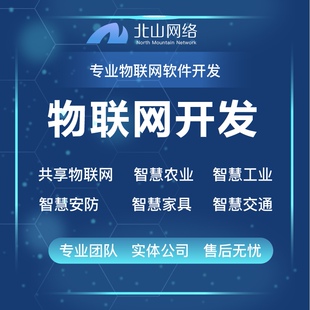 软件开发物联网小程序app定制教育办公商城AI智能直播系统定制作