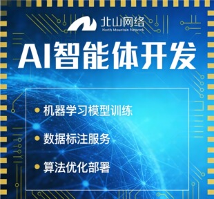 ai软件ai智能体开发ai软件开发ai定制ai视频制作软件ai视频软件