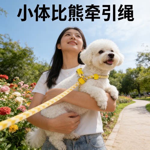 小型比熊P绳牵引绳可伸缩项圈