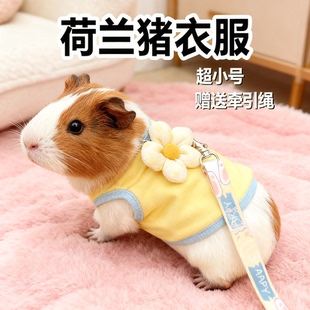 荷兰猪专用保暖衣服牵引绳外出防挣脱豚鼠可爱遛宠宠物用品外出服