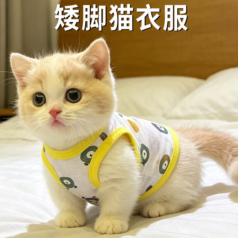 矮脚猫衣服专用拿破仑米努特矮脚春夏薄款背心曼基康外出防掉毛图片