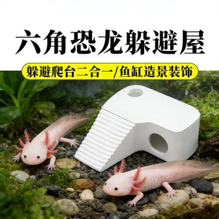 六角恐龙专用躲避屋爬架蝾螈晒台鱼缸造景装饰半水龟休息养鱼用品