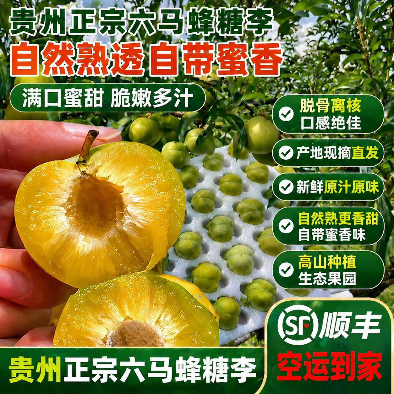 贵州安顺蜂糖李新鲜水果清甜多汁皮薄肉厚核小离核产地直发