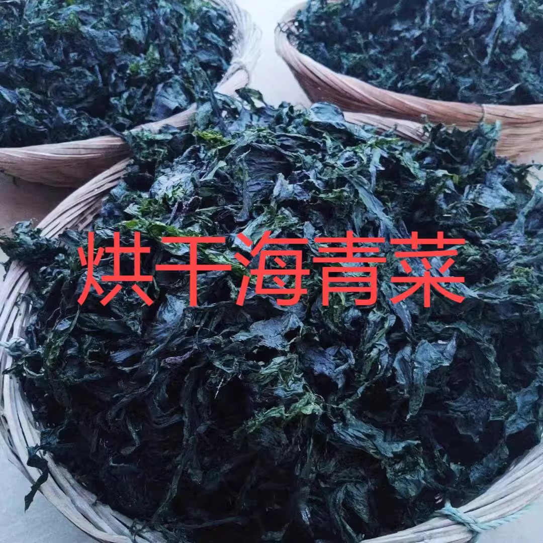 免洗烘干长岛海青菜海菜包子专用海绿菜石莼大连海菜包子全干新货