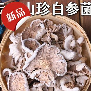 白参菌干货批发云南农家特产克裂褶菌白花白参沙参树花干净雪莲菌