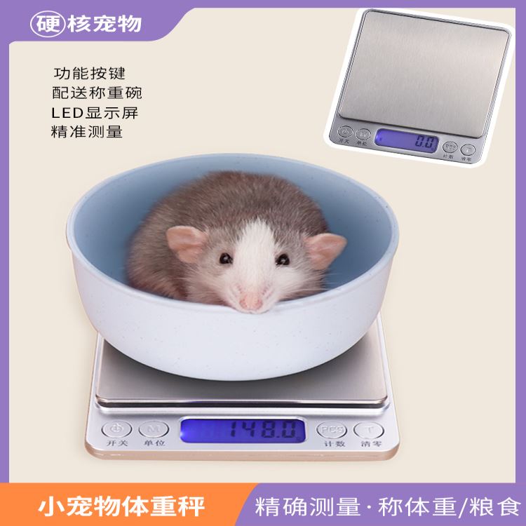 花枝鼠仓鼠生活用品金丝熊刺猬称体重称粮食小型宠物体重秤电子称