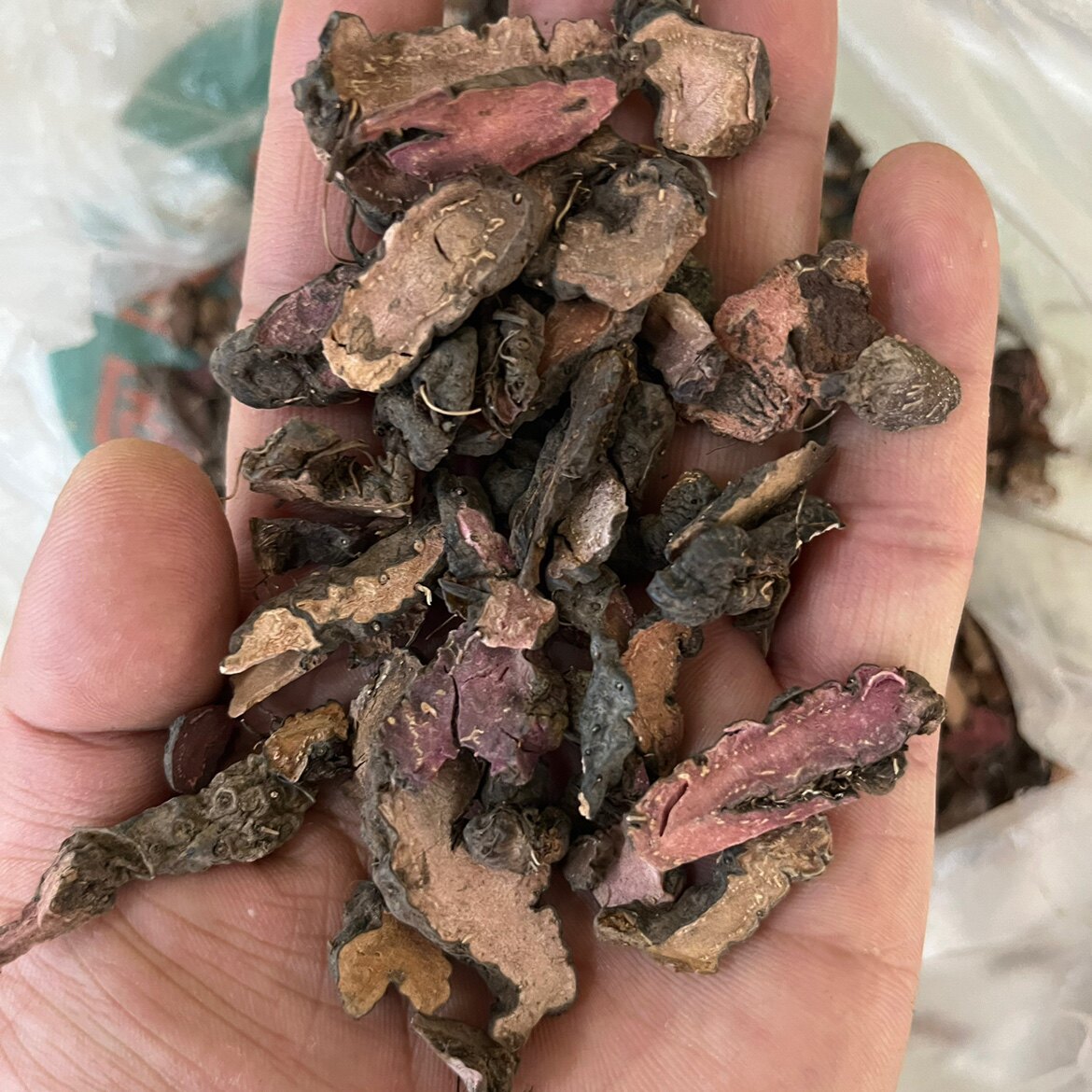 草血竭500克中药材  紫参 草河车 草血竭 包邮