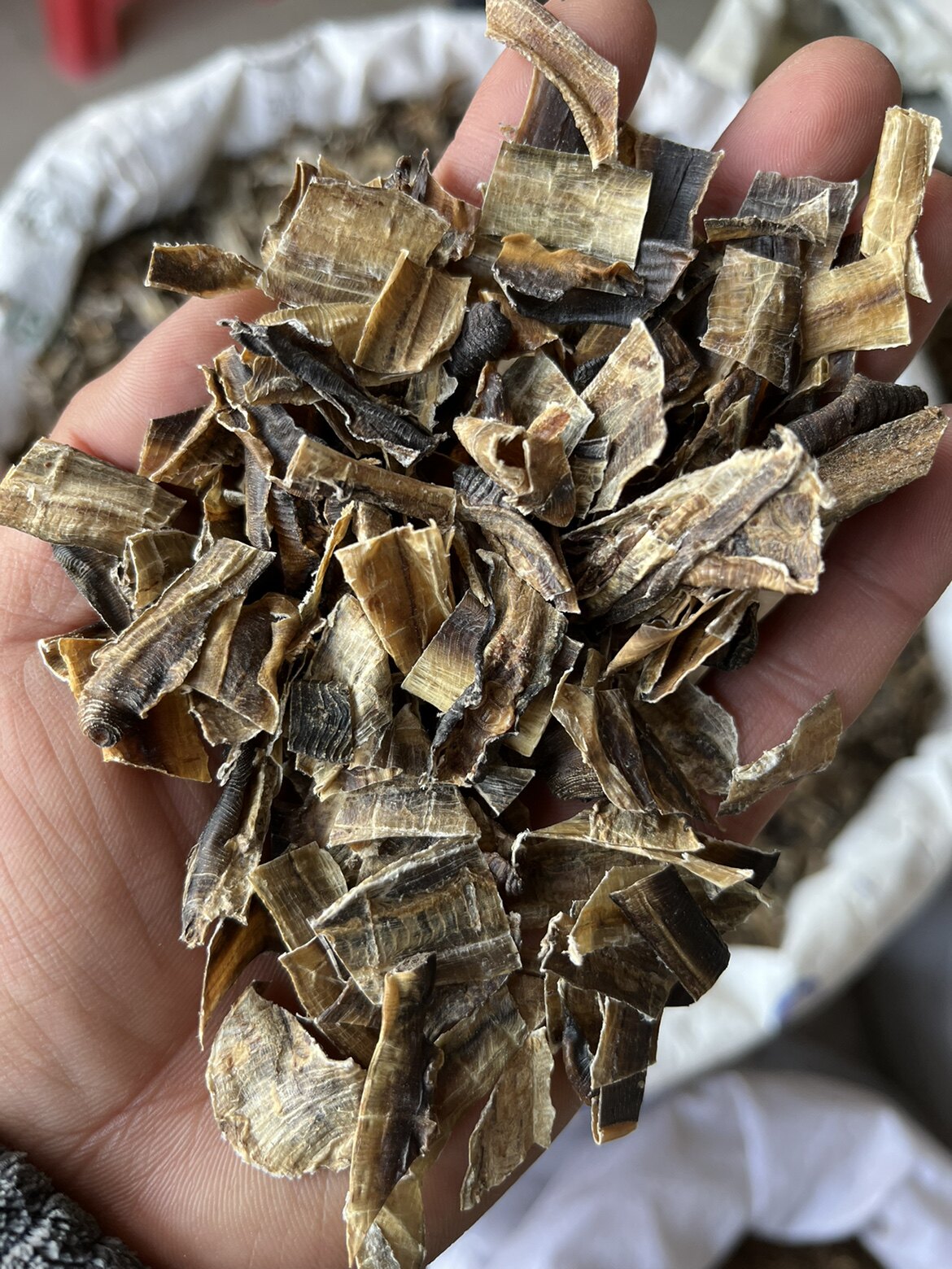 地龙500克中药材 蚯蚓干 蚯蚓皮 全开地龙水洗 无泥包邮